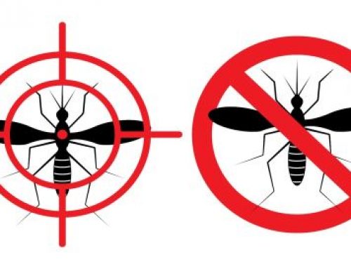 Obavijest o adulticidnom tretmanu komaraca iz zraka na području Općine Negoslavci 23.07.2024. godine